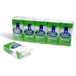 Fazzoletti di carta in astuccio da 10