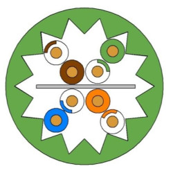 Leviton Cavo Dati in rame Categoria 6A