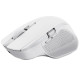 Tastiere e mouse - OZAA+ OZAA+ MOUSE WIRELESS RICARICABILE CON DOPPIA CONNESSIONE BT + WL 2,4GHZ - SCROLL VERTICALE E ORIZZONTA