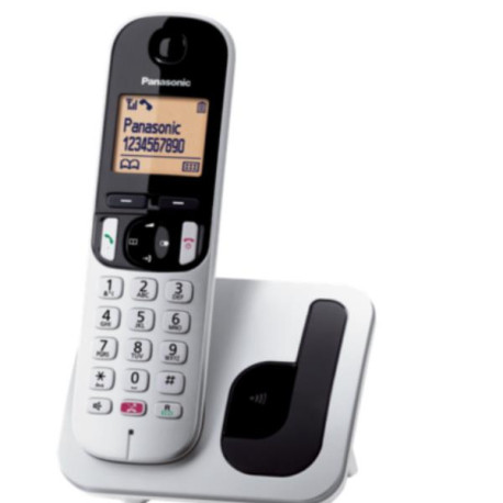 TELEFONIA FISSA - CORDLESS KX-TGC260JTS SILVER SEGRETERIA