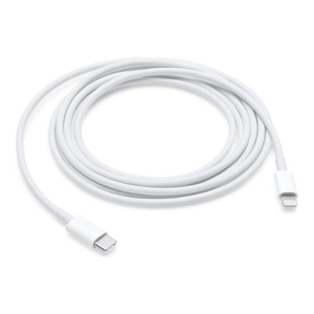 Apple - Cavo Lightning - 24 pin USB-C maschio a Lightning maschio - 2 m