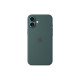 Apple - Cover per cellulare - Compatibilità MagSafe - silicone - lake green - per iPhone 16 Plus