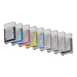 Epson T6031 - 220 ml - nero per foto - originale - cartuccia d'inchiostro - per Stylus Pro 7800, Pro 7880, Pro 9800, Pro 9880