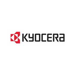 Kyocera - DDR - modulo - 512 MB - DIMM 100-pin - 333 MHz / PC2700 - 2.5 V - senza buffer - non ECC - per FS-2000, 3900, 4000, 6