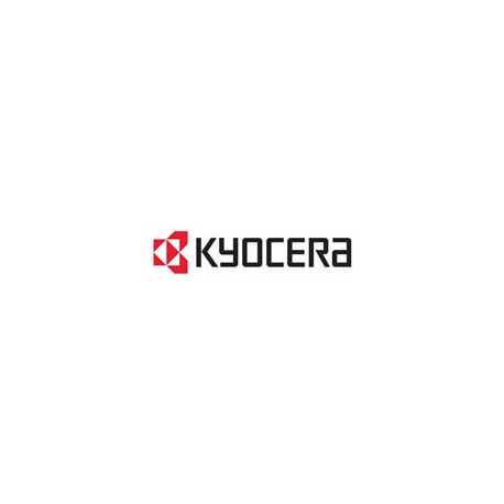 Kyocera - DDR - modulo - 512 MB - DIMM 100-pin - 333 MHz / PC2700 - 2.5 V - senza buffer - non ECC - per FS-2000, 3900, 4000, 6