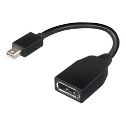 Lenovo - Adattatore DisplayPort - Mini DisplayPort (M) a DisplayPort (F) - 17.6 cm - per ThinkCentre M70- M75t Gen 2- M80- M90-