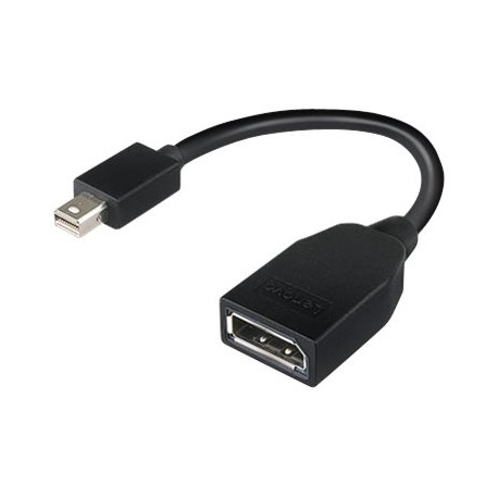 Lenovo - Adattatore DisplayPort - Mini DisplayPort (M) a DisplayPort (F) - 17.6 cm - per ThinkCentre M70- M75t Gen 2- M80- M90-