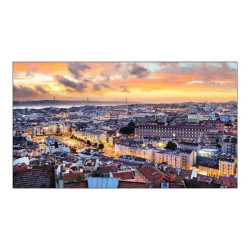 Samsung VH55C-E - 55" Categoria diagonale VHB-E Series Display LCD retroilluminato a LED - segnaletica digitale - 1080p (Full H