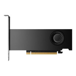 NVIDIA RTX 2000 Ada - Scheda grafica - NVIDIA RTX 2000 Ada - 16 GB GDDR6 - 4 x Mini DisplayPort