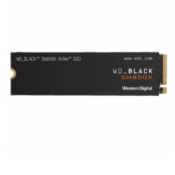 SSD - WDS100T2X0E