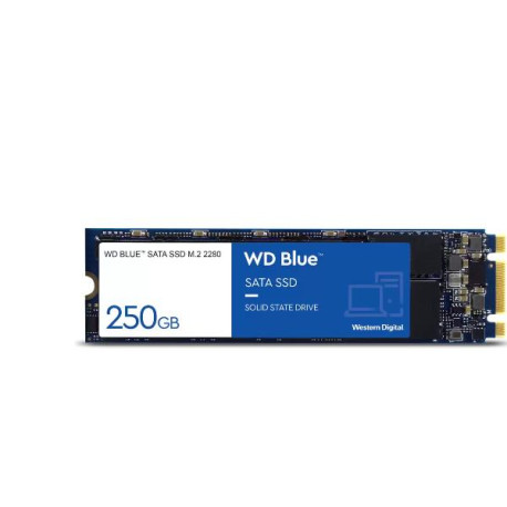 SSD WD BLUE 250GB SATA M.2 3DNAND